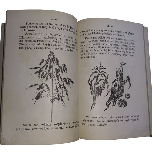 Druga Ksiazka do Czytania dla Szkol Ludowych Polish Publishing Company Chicago - Picture 9 of 12